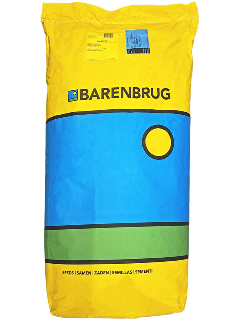 BARSENNA - Image 3